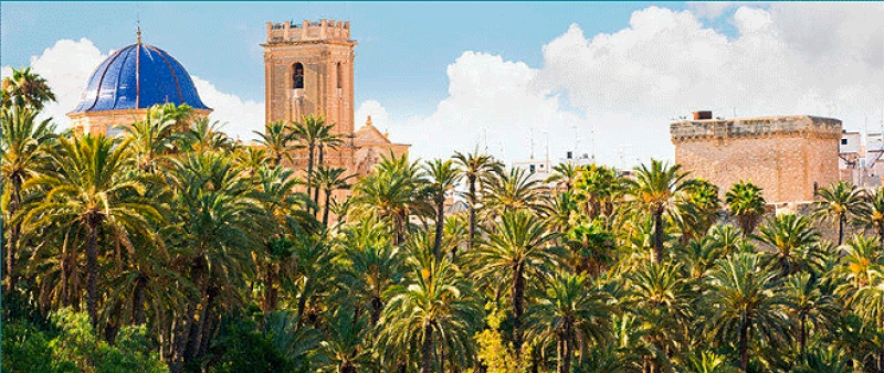 Excursión a Elche, Palmeral y tradiciones