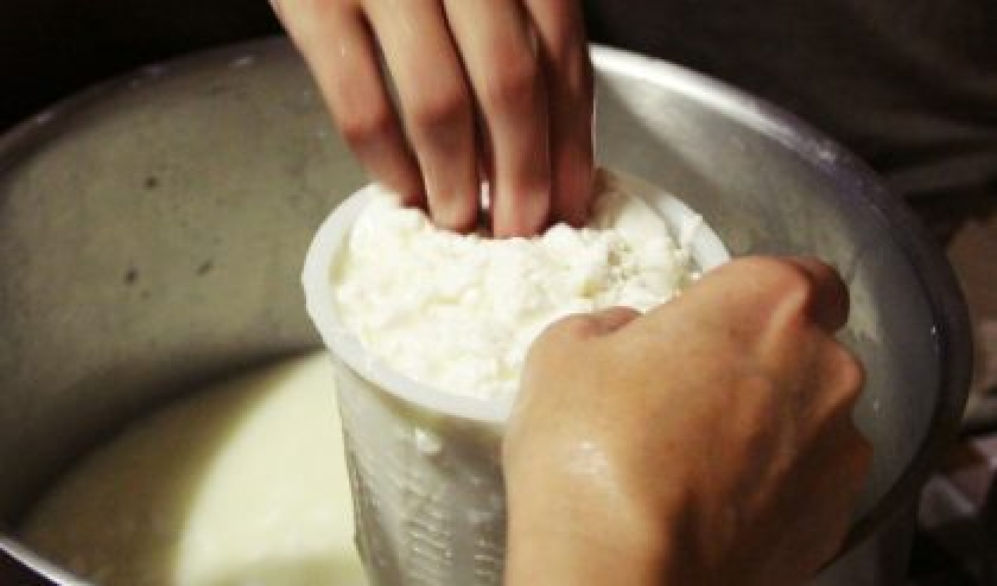 Tour visita al Pantano de Tibi, pastoreo de cabras y ovejas con taller de queso de Alicante y maridaje de 4 vermuts de Alicante con sumiller (Tibi)