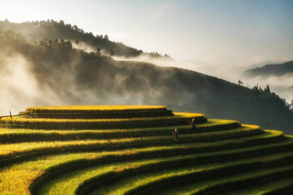 Vietnam Clásico