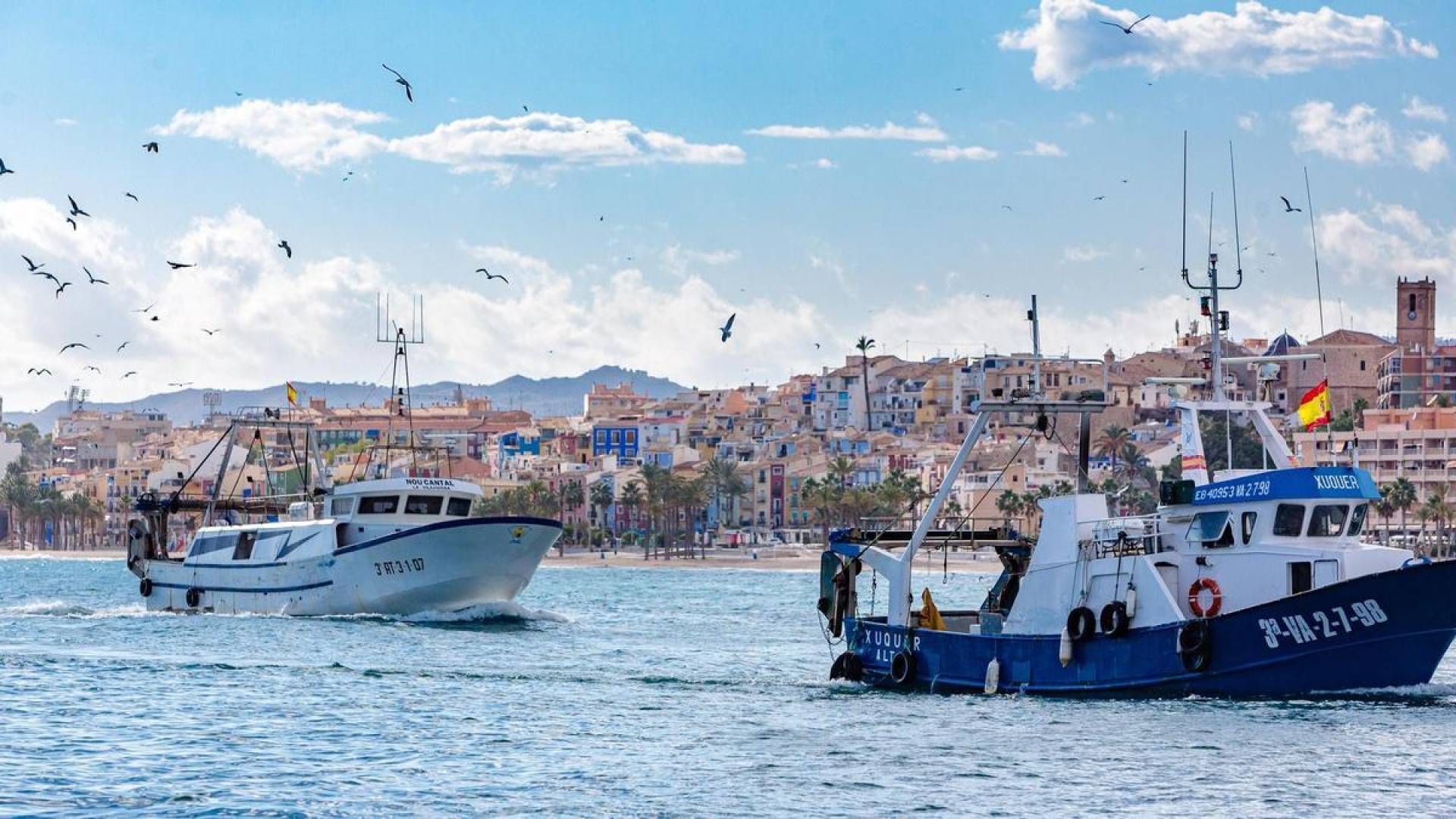 Ruta de Caladeros de pesca Alicante